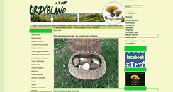 Desktop Screenshot of grzybland.pl